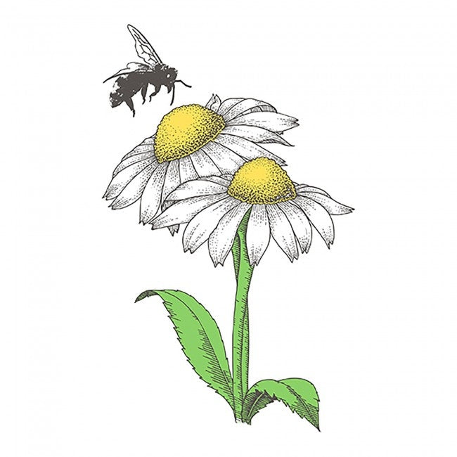 Swedish Wet Cloth Daisy and Bee